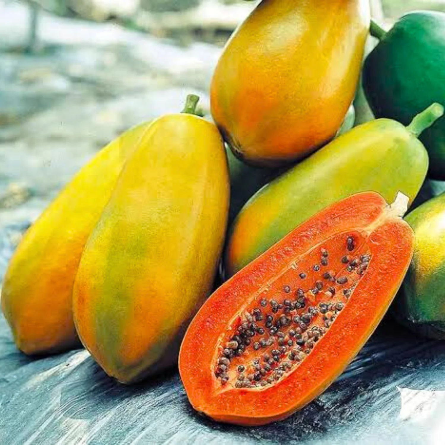 Papaya